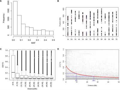 A Genome-Wide Association Study of Highly Heritable Agronomic Traits in Durum Wheat